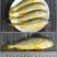 小黄花鱼新鲜冷冻黄鱼舟山小黄鱼海鲜一件代发，包邮包售后