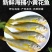 小黄花鱼新鲜冷冻黄鱼舟山小黄鱼海鲜一件代发，包邮包售后