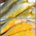 小黄花鱼新鲜冷冻黄鱼舟山小黄鱼海鲜一件代发，包邮包售后