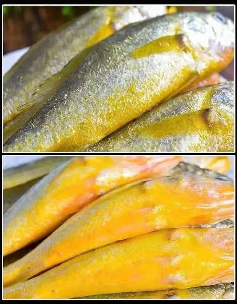 小黄花鱼新鲜冷冻黄鱼舟山小黄鱼海鲜一件代发，包邮包售后