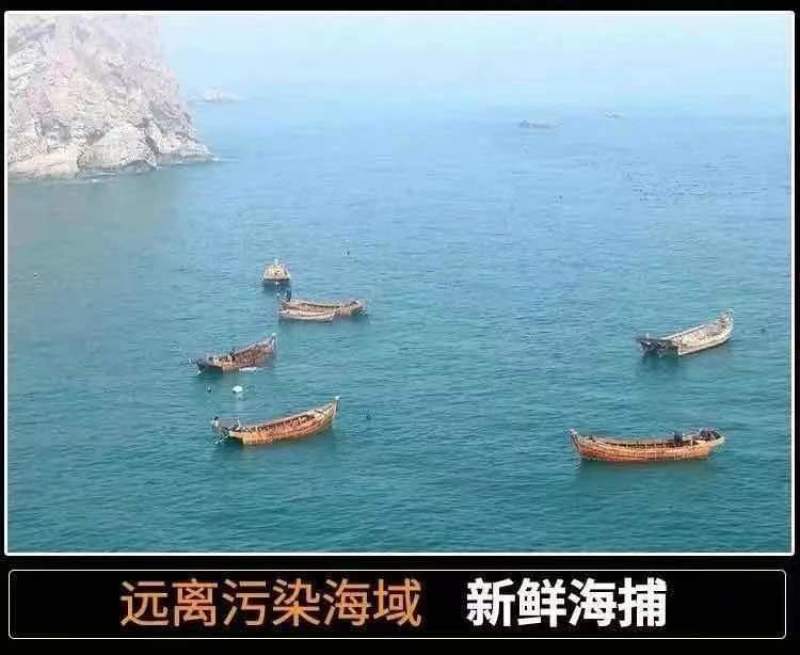 小黄花鱼新鲜冷冻黄鱼舟山小黄鱼海鲜一件代发，包邮包售后