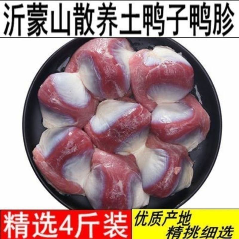 【包邮-4斤鸭胗】热销4斤8斤农家新鲜鸭胗量大从优