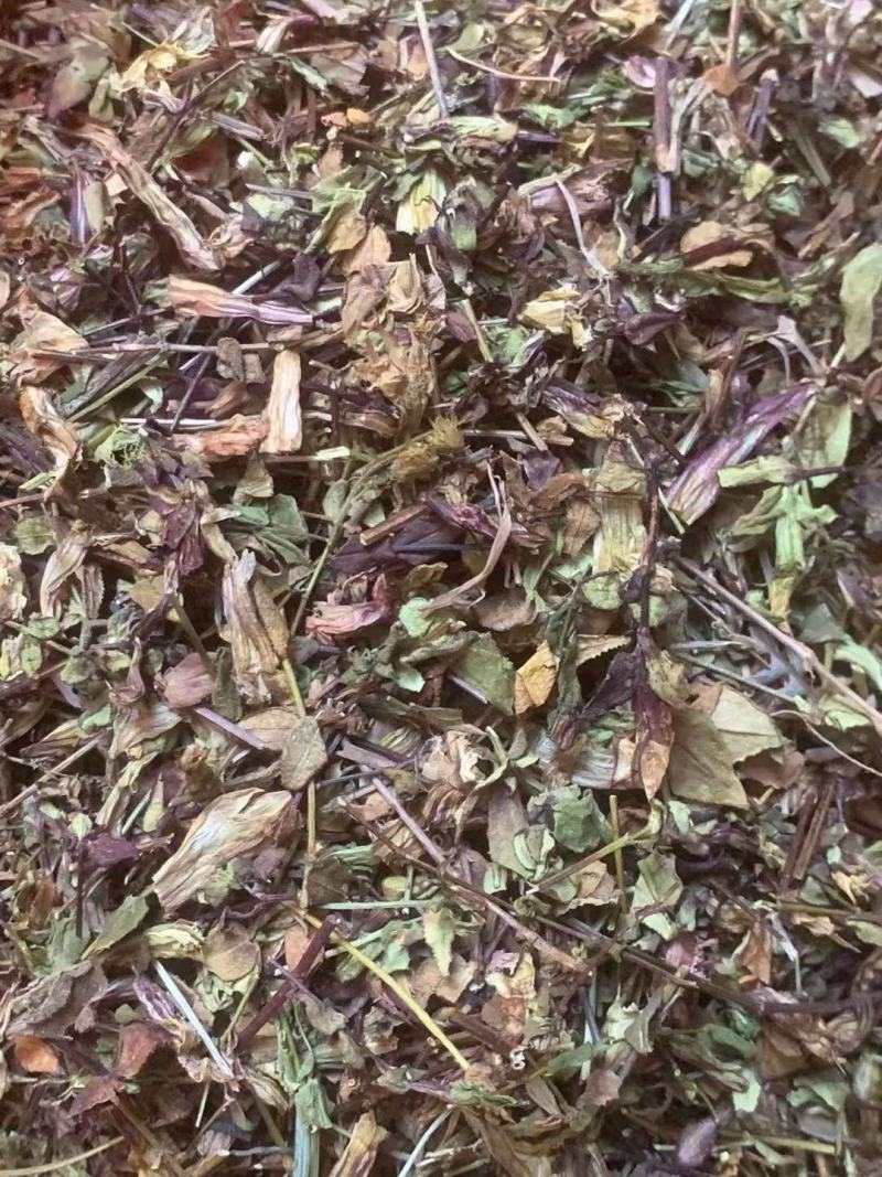 肝炎草青叶胆【包邮】三斤起发货可批量可零售量大从优