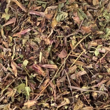 肝炎草青叶胆【包邮】三斤起发货可批量可零售量大从优