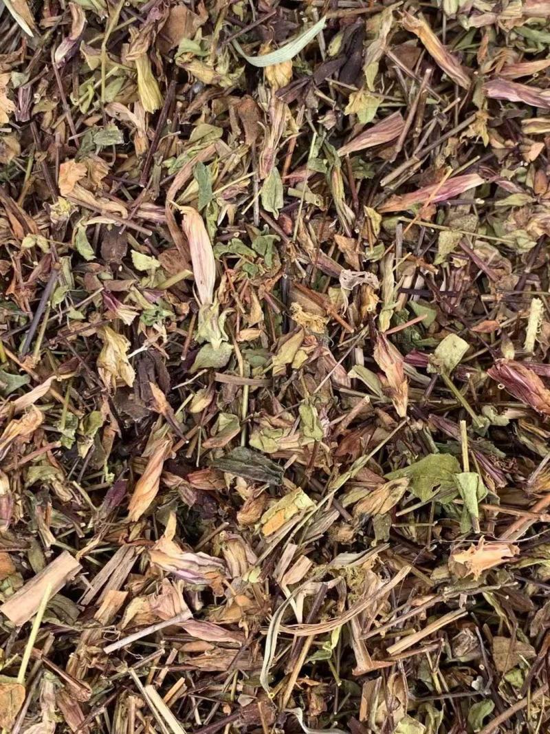 肝炎草青叶胆【包邮】三斤起发货可批量可零售量大从优
