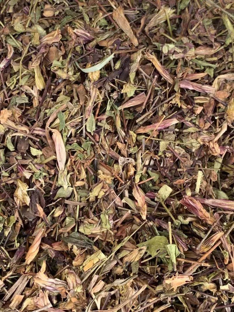 肝炎草青叶胆【包邮】三斤起发货可批量可零售量大从优