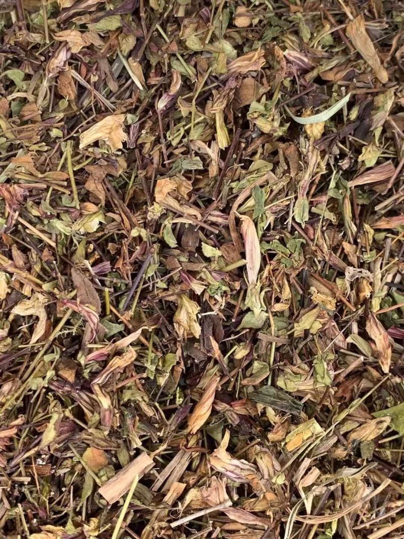 肝炎草青叶胆【包邮】三斤起发货可批量可零售量大从优