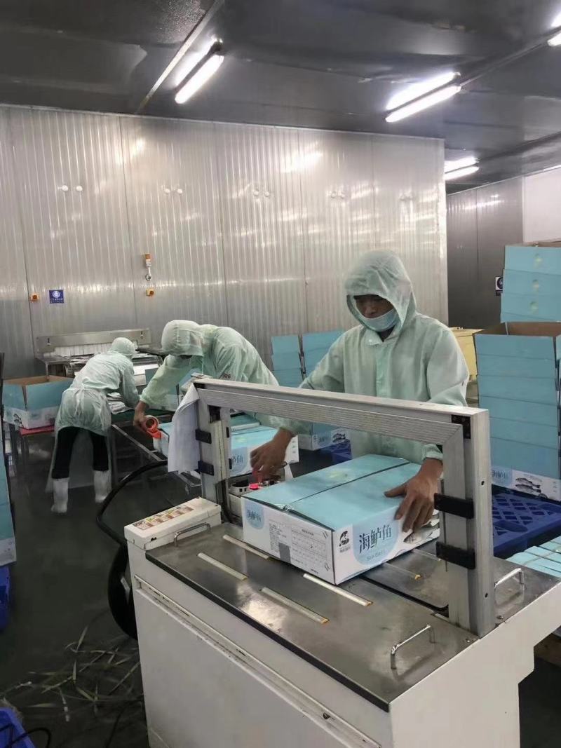 渔航牌海鲈鱼10公斤装，10-22条不同的大小都有