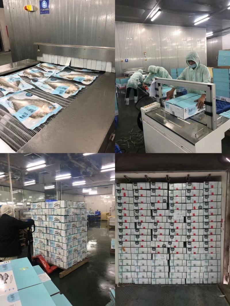 渔航牌海鲈鱼10公斤装，10-22条不同的大小都有