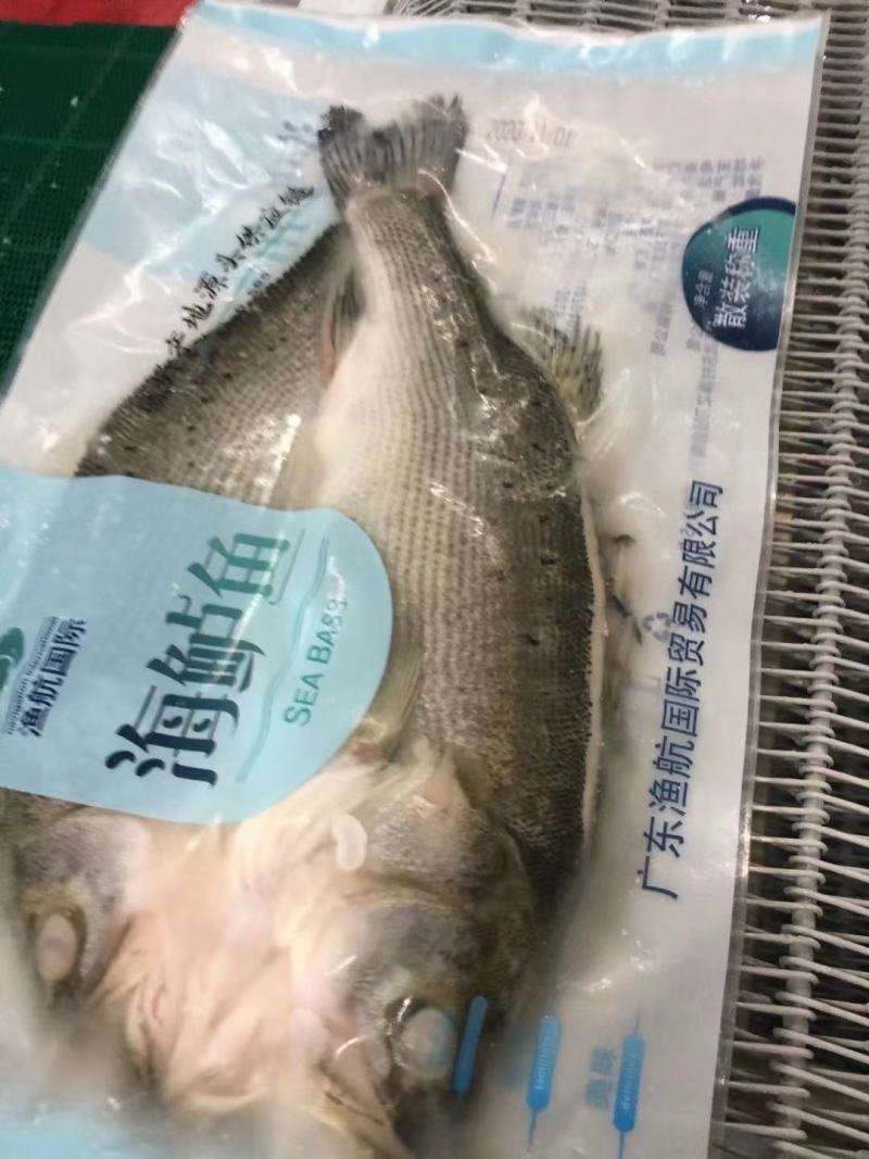 渔航牌海鲈鱼10公斤装，10-22条不同的大小都有