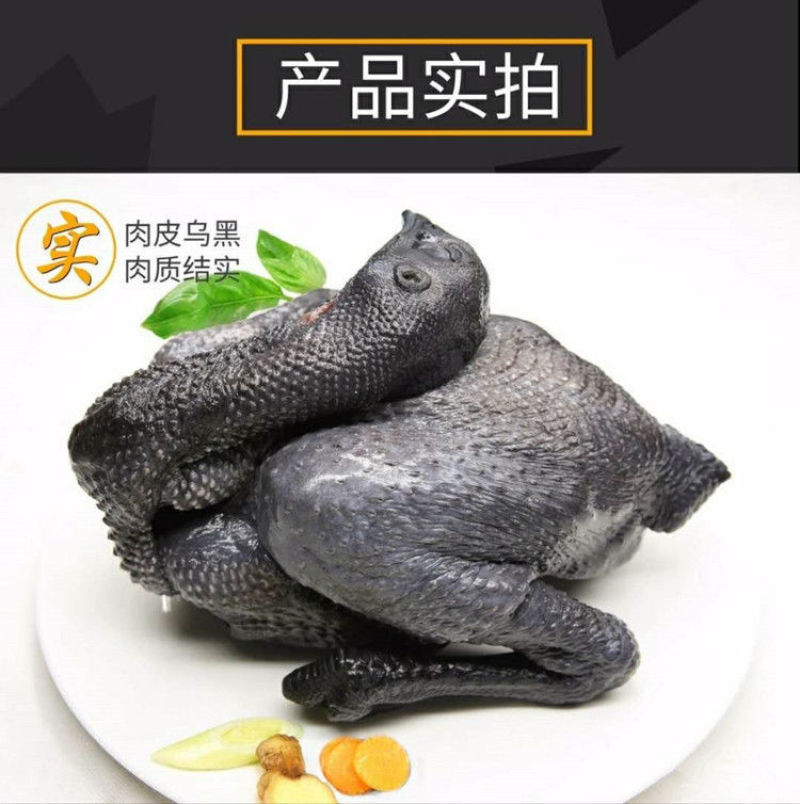 【热销包邮】正宗乌鸡新鲜现杀黑乌鸡农家散养冷冻鸡肉多规格
