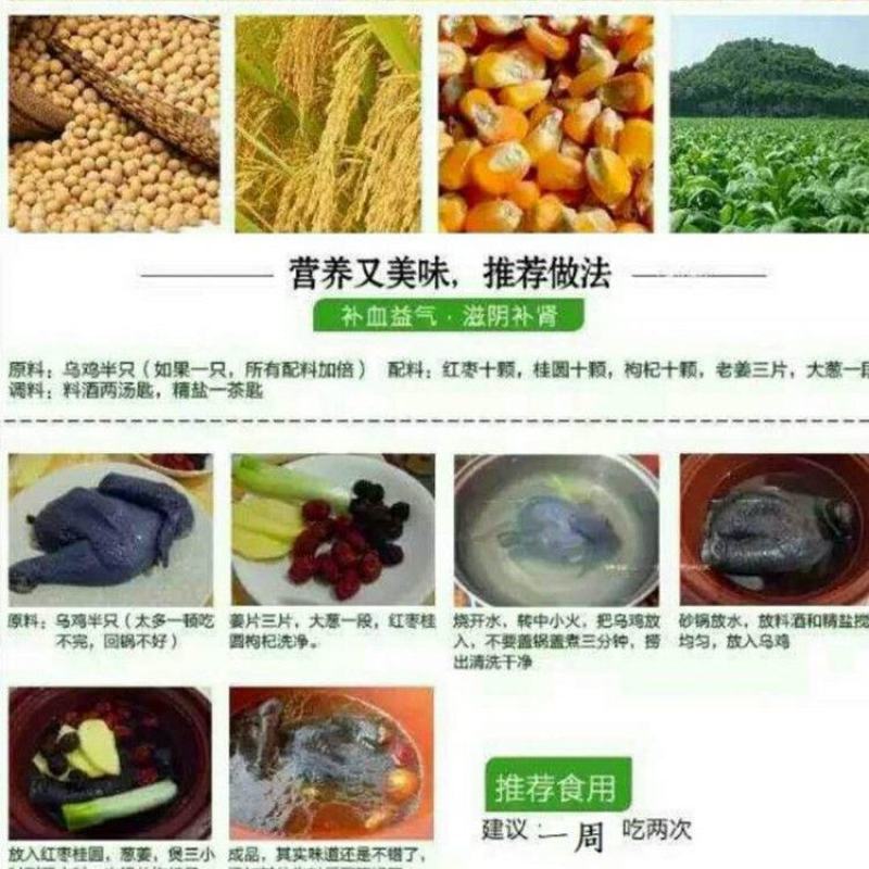 【热销包邮】正宗乌鸡新鲜现杀黑乌鸡农家散养冷冻鸡肉多规格