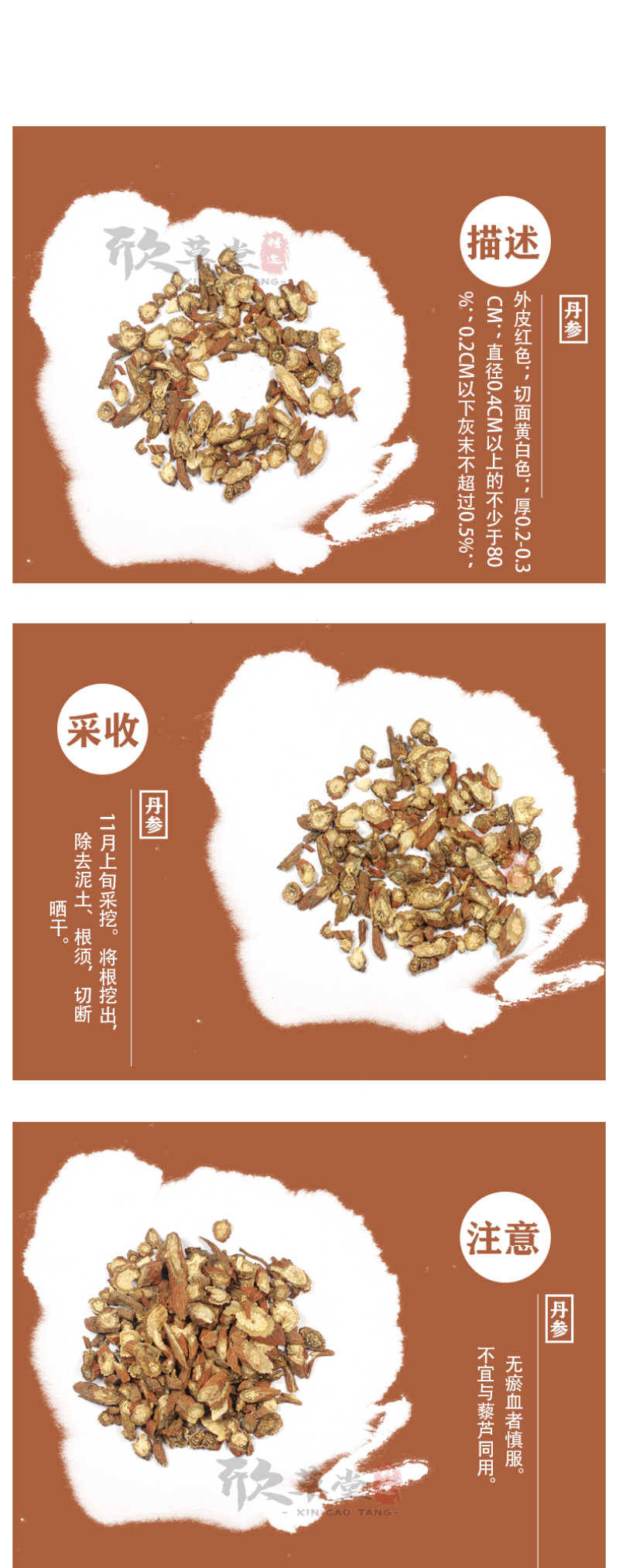 丹参（赤参,紫丹参,红根,活血根,血参根,朵朵花根,红