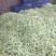 洋县白不老四季豆大量上市中，无虫眼，颜色青白，