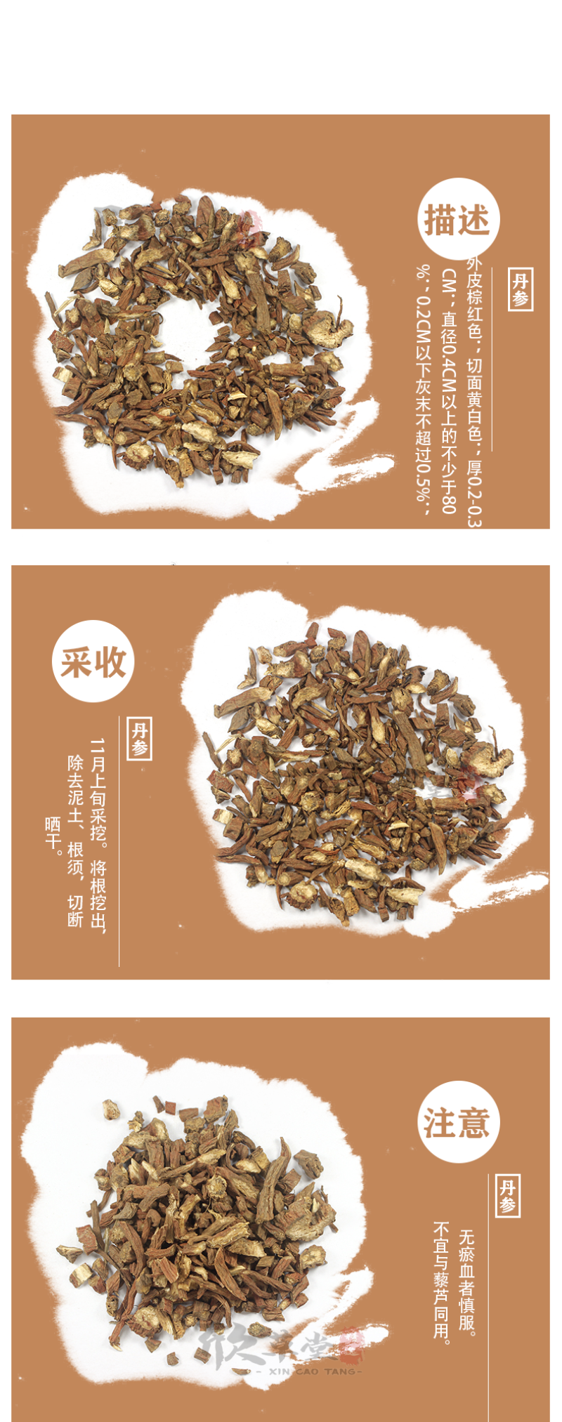 丹参（赤参,紫丹参,红根,活血根,血参根,朵朵花根,红