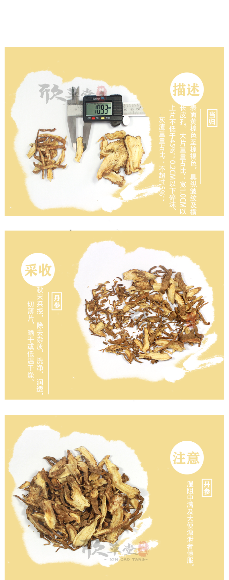 当归，干归,马尾当归,秦归,马尾归,云归,西当归,岷当归