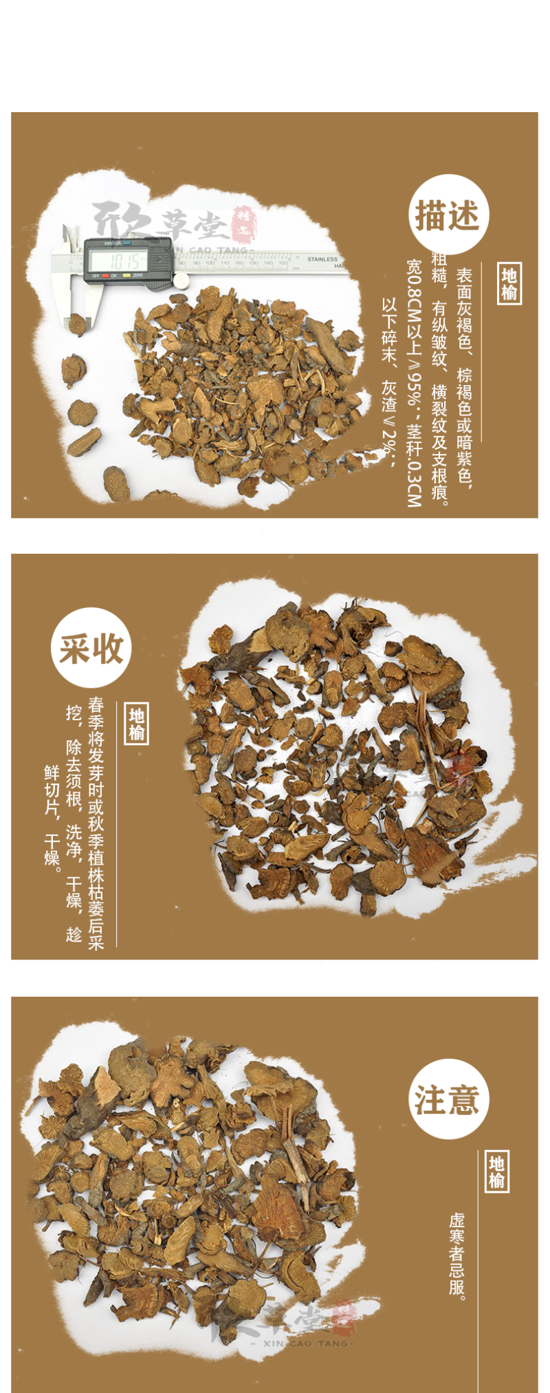 地榆，酸赭,豚榆系,白地榆,鼠尾地榆,西地榆,地芽,野升