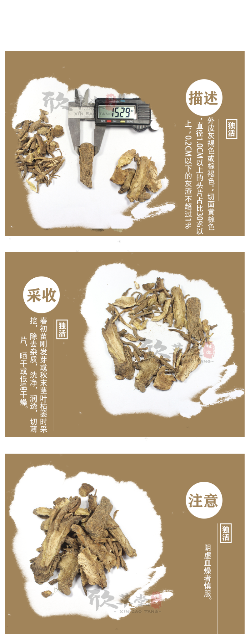 独活，胡王使者,独摇草,独滑,长生草,川独活,肉独活,资