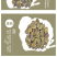莪术，蓬莪茂,蒁药,蓬莪术,广茂,蓬术,青姜,羌七,广术