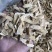 黄芪片小黄芪大粉料中片黄芪大片黄芪