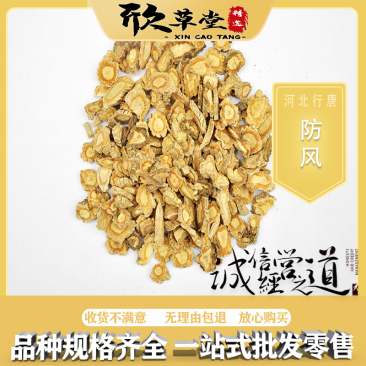 防风，关防风,河北防风,冀防风