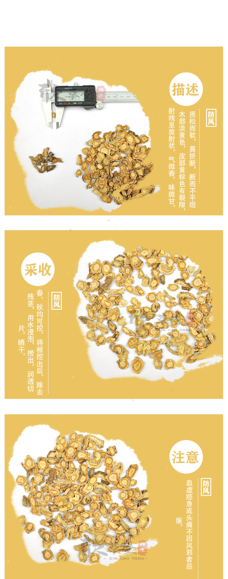防风，关防风,河北防风,冀防风