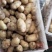 山东优质荷兰十五土豆大量上市，质量保证，价格便宜