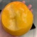 黄金油桃
