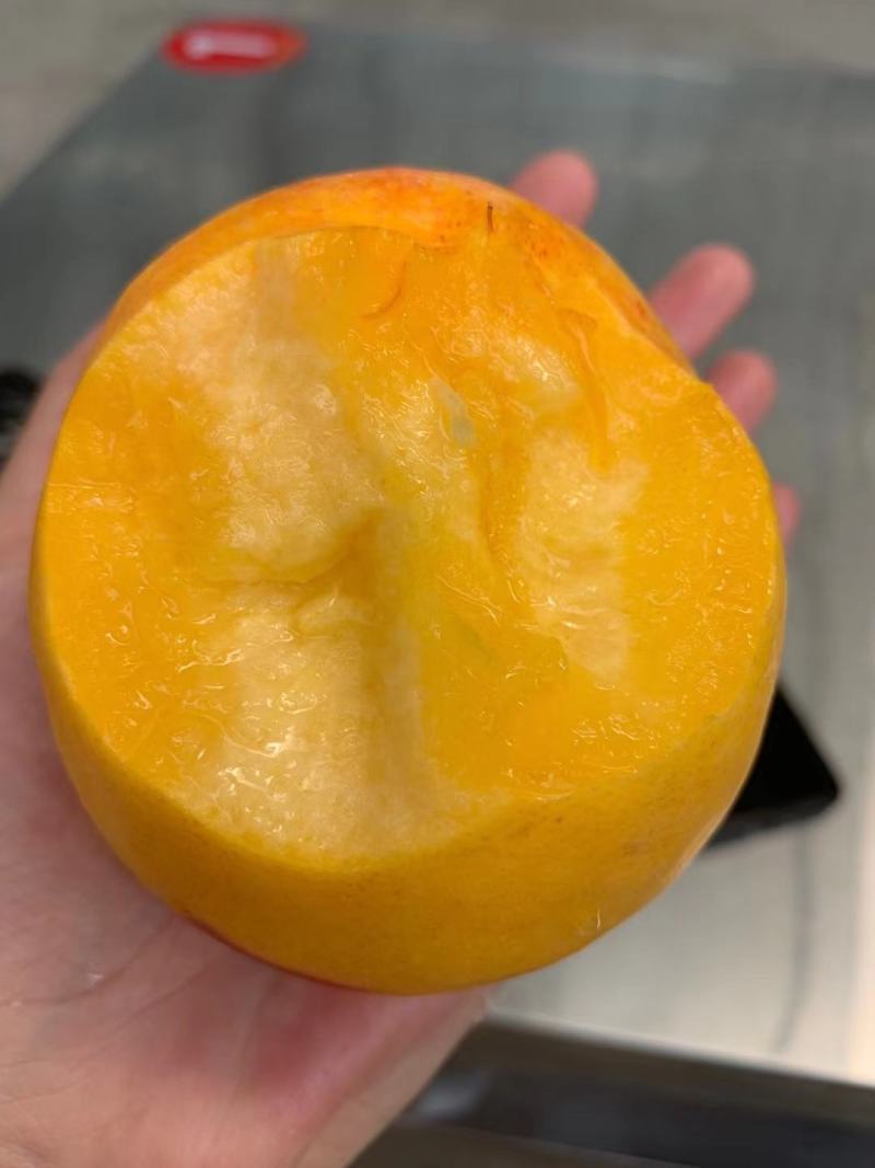 黄金油桃