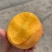 黄金油桃