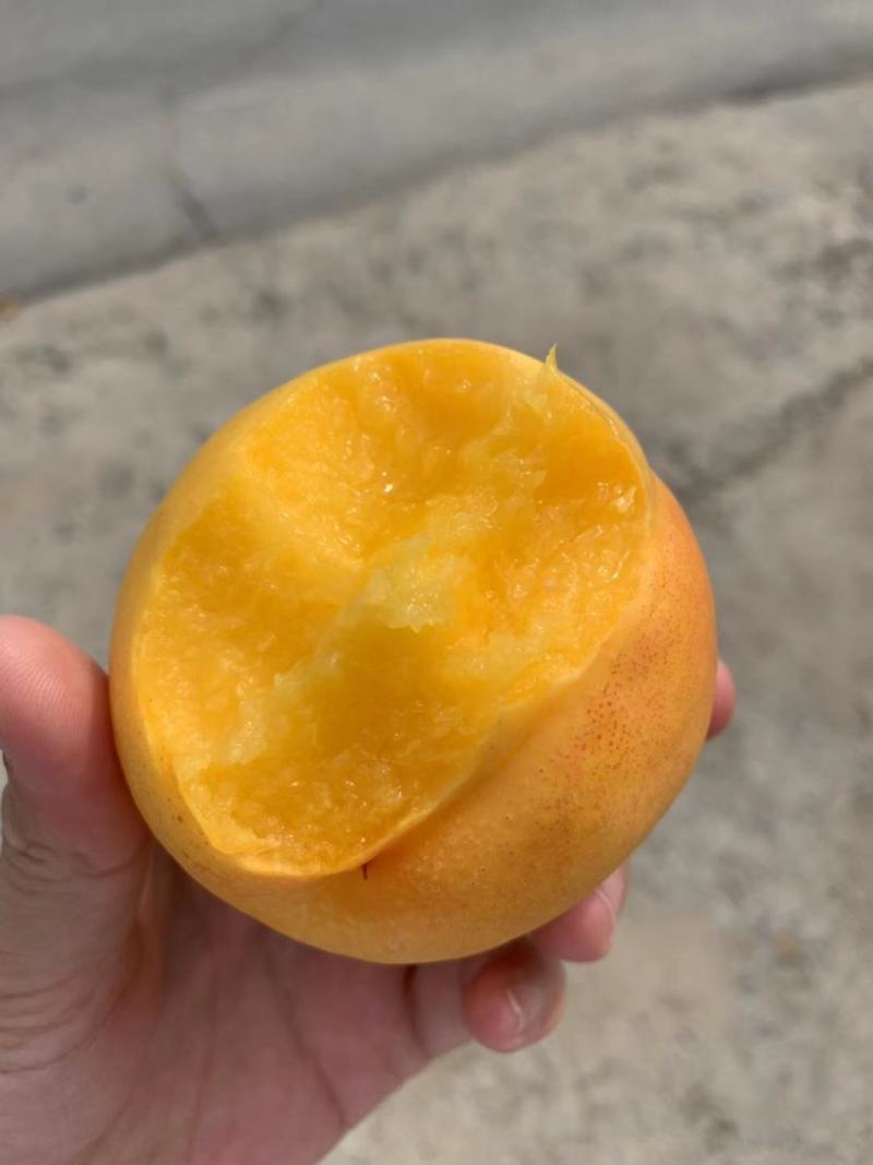 黄金油桃