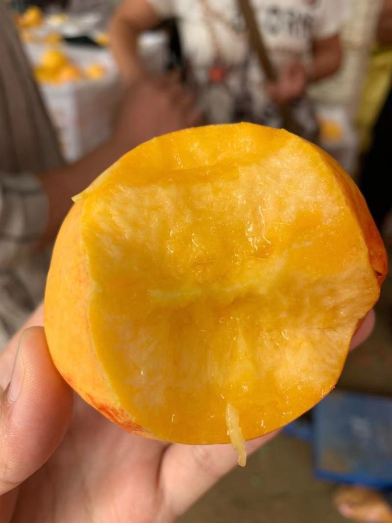 黄金油桃