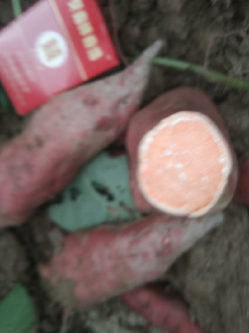 西瓜红，工厂货三两起，大量供应