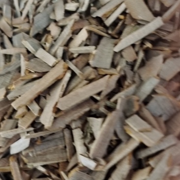 鬼箭羽鬼箭羽中药材批发