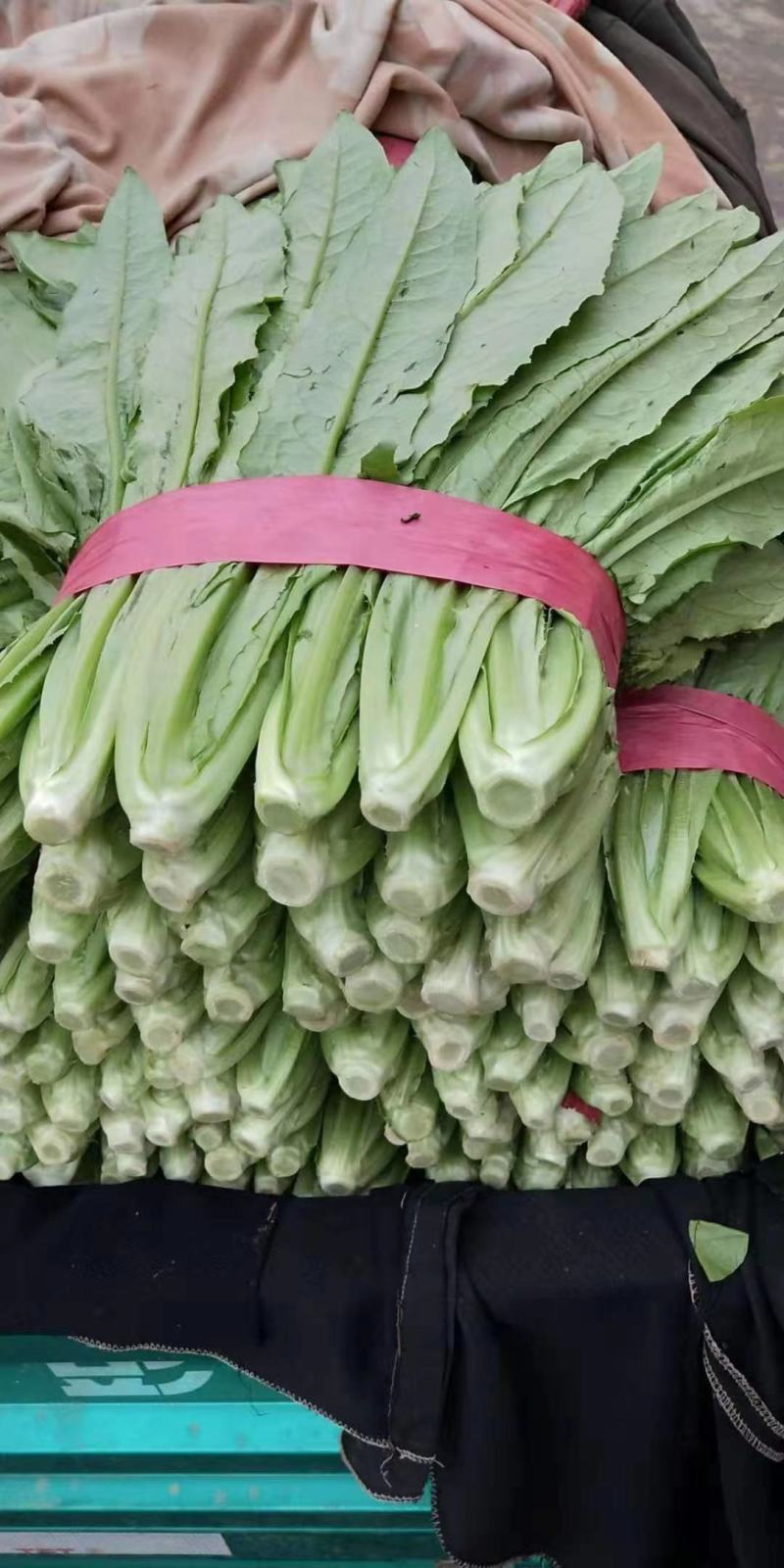 油麦