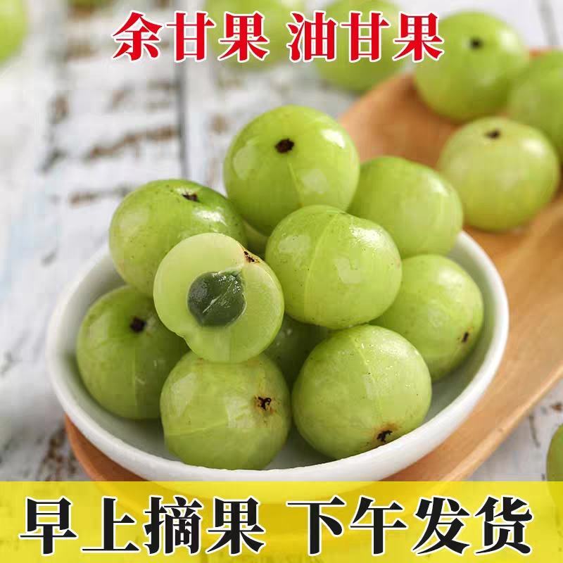 油甘牛柑果广东潮汕牛柑果油甘子货源充足厂家采购腌制榨汁