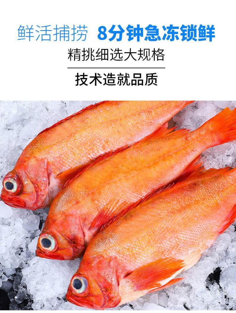【现捕现发】红石斑鱼活体新鲜冷冻深海鱼富贵鱼大眼鱼包邮