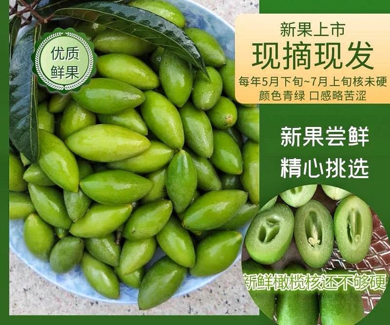 2023年新橄榄青橄榄可榨汁可煲汤可腌制