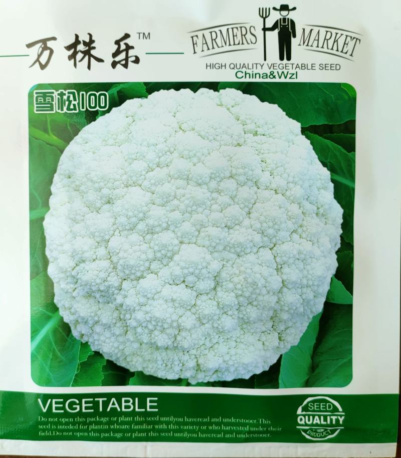 松花菜种子菜花种子100天耐寒青梗菜花种子有机花菜种子