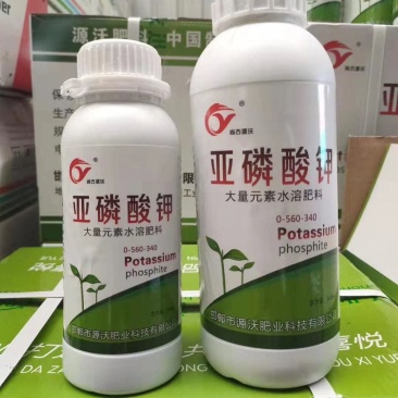 亚磷酸钾促进花芽分化保花膨果提色抗病增产