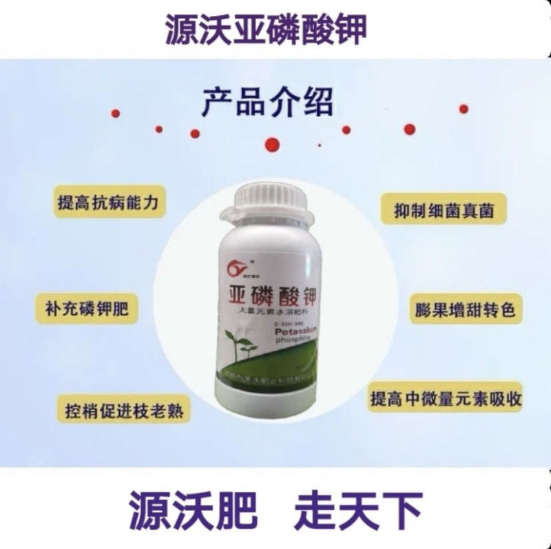 亚磷酸钾促进花芽分化保花膨果提色抗病增产