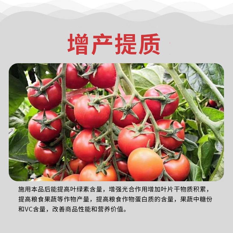亚磷酸钾促进花芽分化保花膨果提色抗病增产