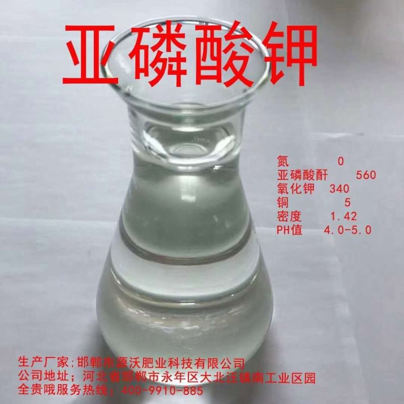 亚磷酸钾促进花芽分化保花膨果提色抗病增产