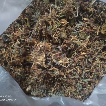 野生金银花
