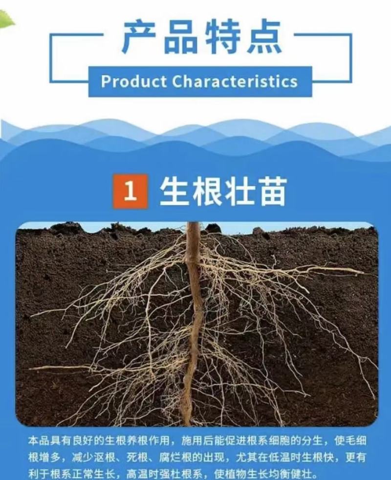 海藻鱼蛋白水溶肥强力生根增强光合作用保花澎果增加糖分