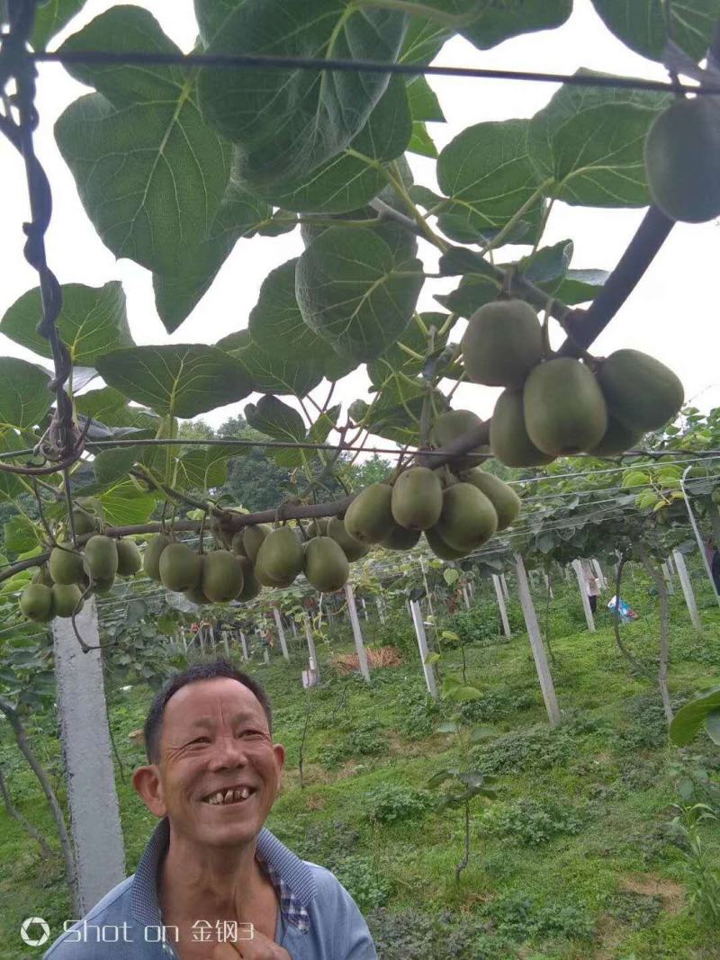 叶面肥有机磷钾磷酸二氢钾正宗热法工厂直销无中间商。