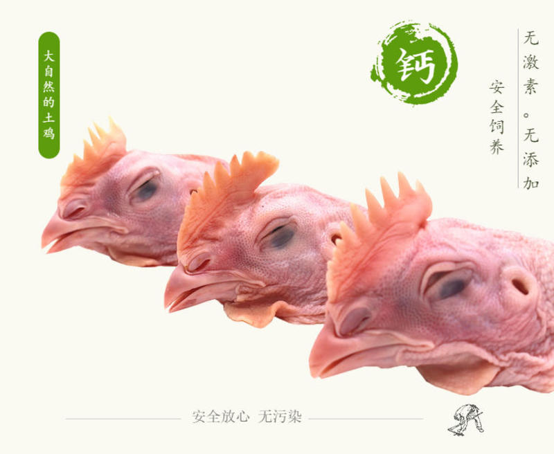 【工厂】【热款】4斤8斤新鲜大鸡头批发生鸡头包邮