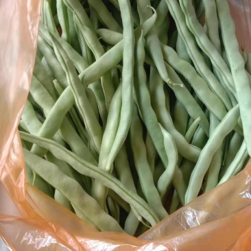 豆角