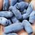 蓝靛果树苗，三年生(营养杯苗)带土发货，大果型品种。
