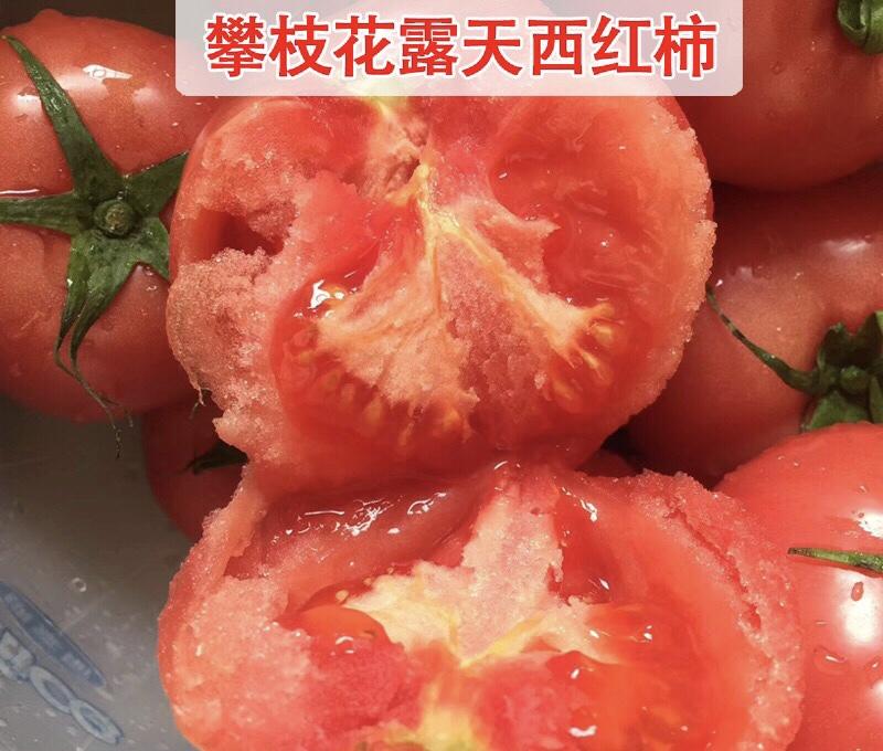 米易自然成熟大红西红柿基地直发新鲜生吃番茄